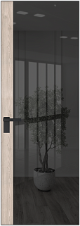Алюминиевая дверь ProfilDoors Серия AGK модель 6 AGK